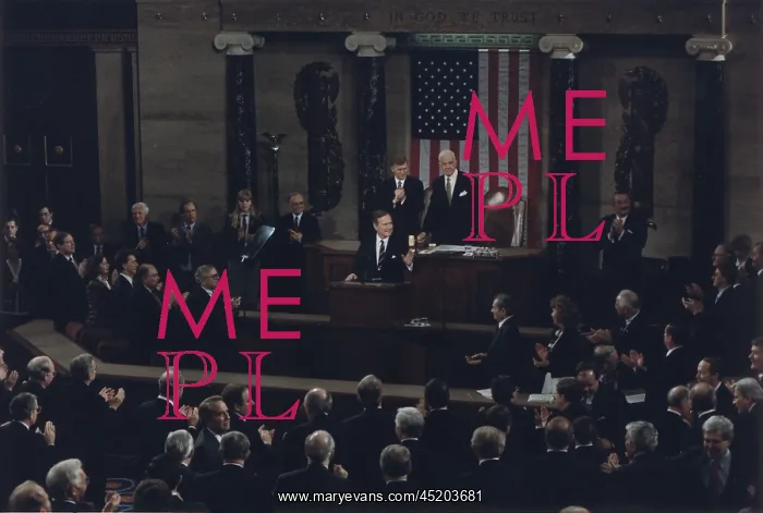 : President Bush addresses a joint session ? : President Bush addresses a joint session ?