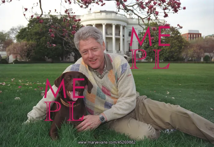 : President Bill Clinton with his Labrador Retriever : President Bill Clinton with his Labrador Retriever