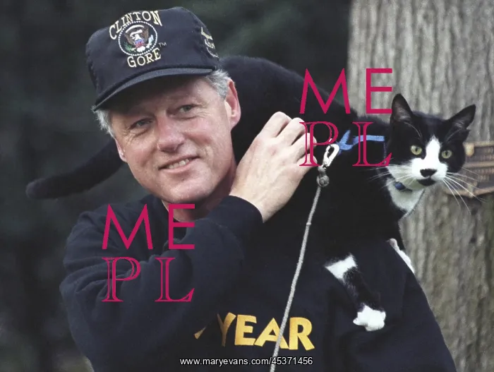 : President Bill Clinton with Socks the Cat perched : President Bill Clinton with Socks the Cat perched