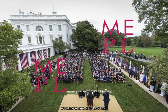 : President Donald Trump announced his nomination : President Donald Trump announced his nomination