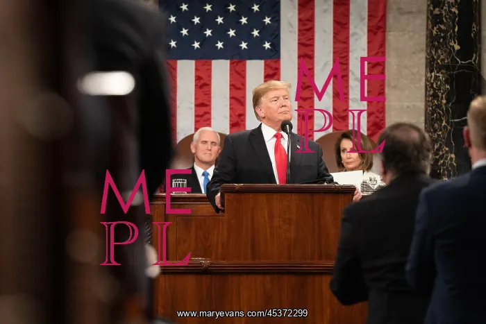 : President Donald Trump delivering his State : President Donald Trump delivering his State