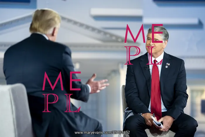 : President Donald Trump is interviewed by Sean : President Donald Trump is interviewed by Sean