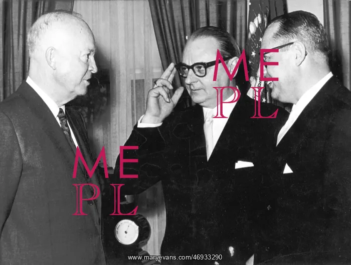 : President Eisenhower with German visitors : President Eisenhower with German visitors