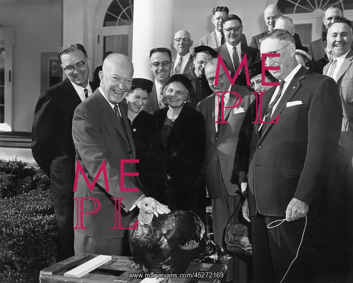 : President Eisenhower receives a turkey from the : President Eisenhower receives a turkey from the