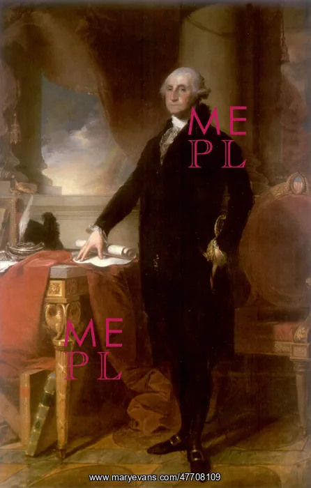 : President George Washington : President George Washington