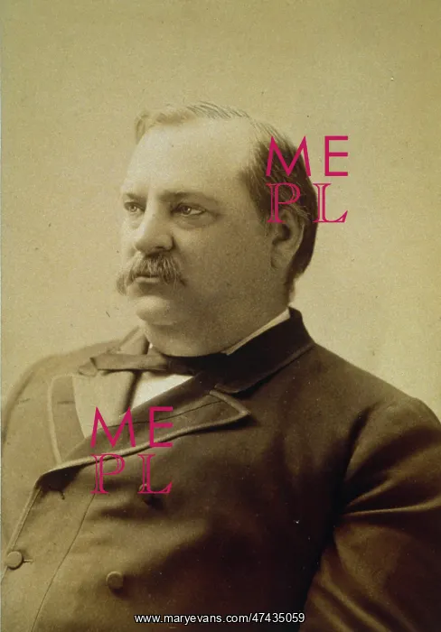 : President Grover Cleveland : President Grover Cleveland