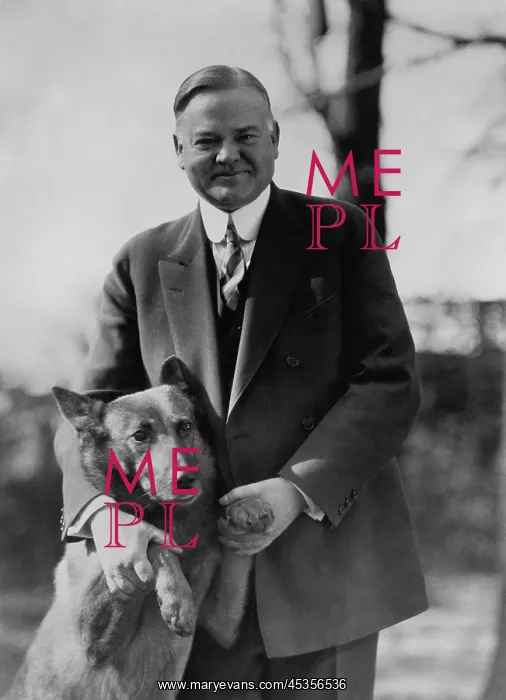 : President Herbert Hoover with his Belgian shepherd : President Herbert Hoover with his Belgian shepherd