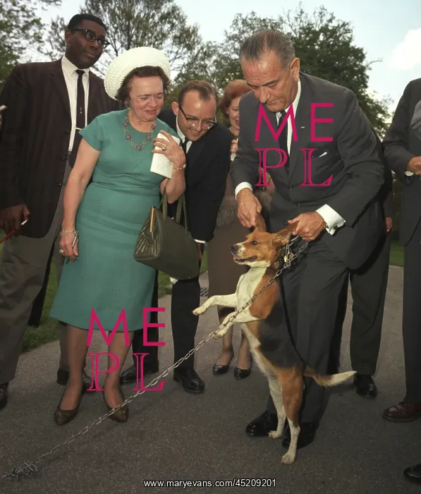 : President Lyndon Johnson holds his beagle ? : President Lyndon Johnson holds his beagle ?