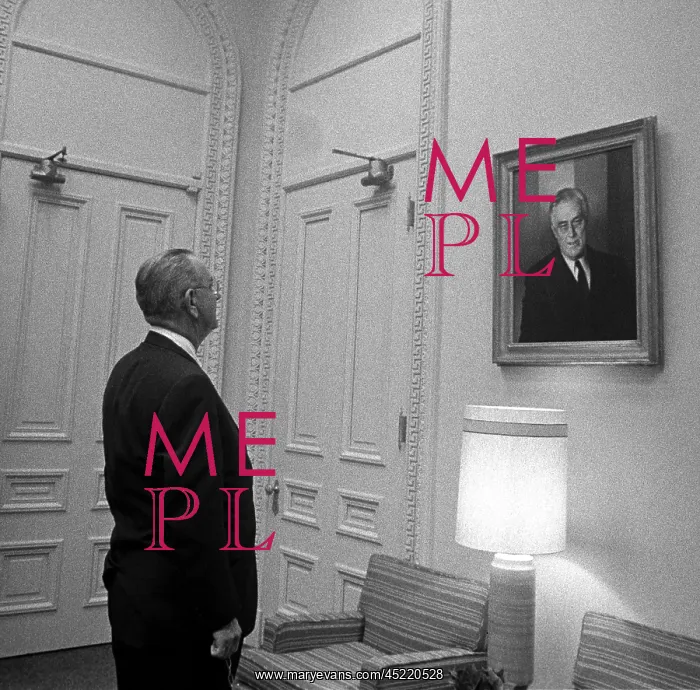: President Lyndon Johnson looking at portrait ? : President Lyndon Johnson looking at portrait ?