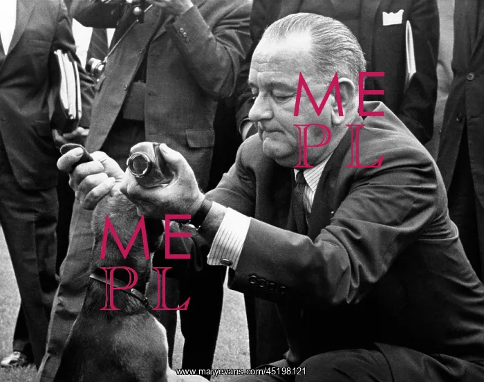 : President Lyndon Johnson pulls the ears ? : President Lyndon Johnson pulls the ears ?