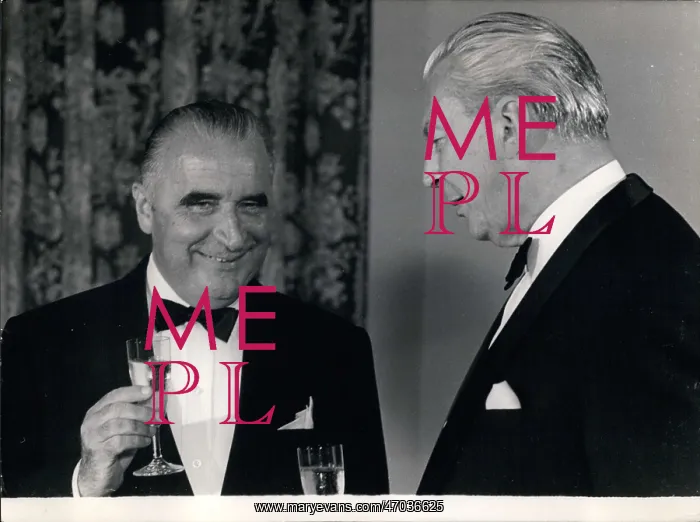 : President Pompidou and Chancellor Kiesinger, Bonn, Germany : President Pompidou and Chancellor Kiesinger, Bonn, Germany