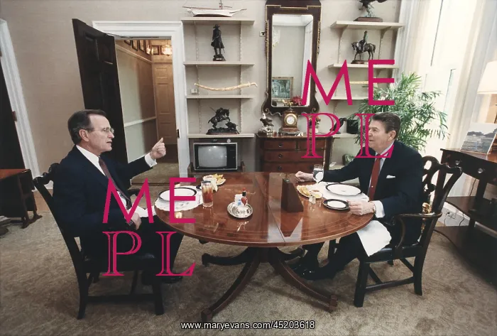 : President Reagan and Vice-President Bush ? : President Reagan and Vice-President Bush ?