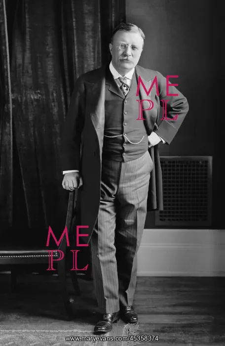 : President Theodore Roosevelt, in 1907, possibly : President Theodore Roosevelt, in 1907, possibly