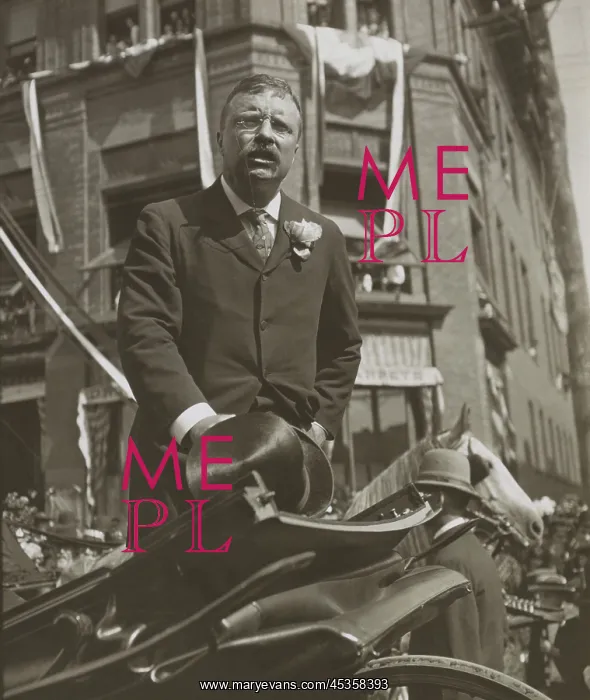 : President Theodore Roosevelt delivering a speech : President Theodore Roosevelt delivering a speech