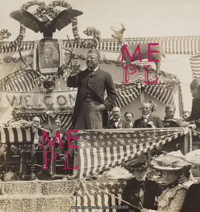 : President Theodore Roosevelt delivering a speech : President Theodore Roosevelt delivering a speech