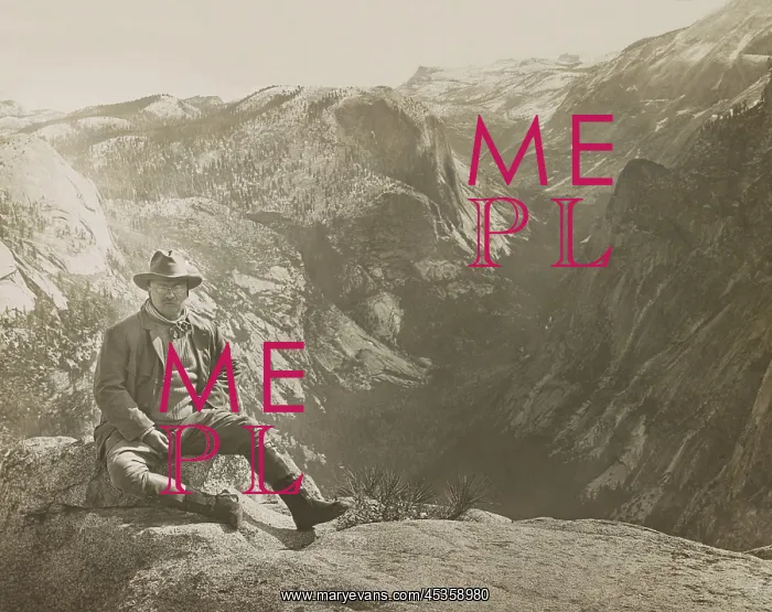 : President Theodore Roosevelt sitting on large stone : President Theodore Roosevelt sitting on large stone