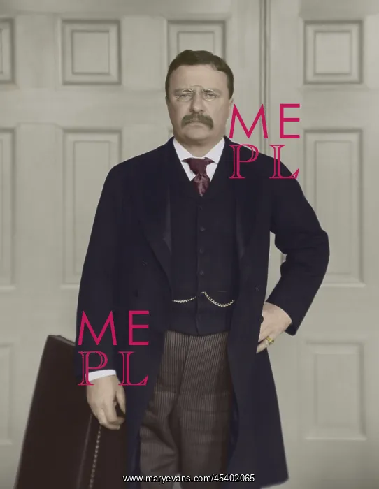 : President Theodore Roosevelt standing before the : President Theodore Roosevelt standing before the