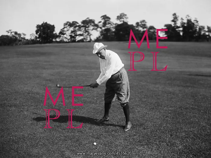 : President Warren Harding played golf twice a week : President Warren Harding played golf twice a week