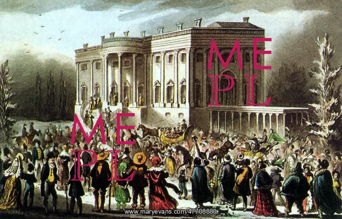 : The President's Levee : The President's Levee