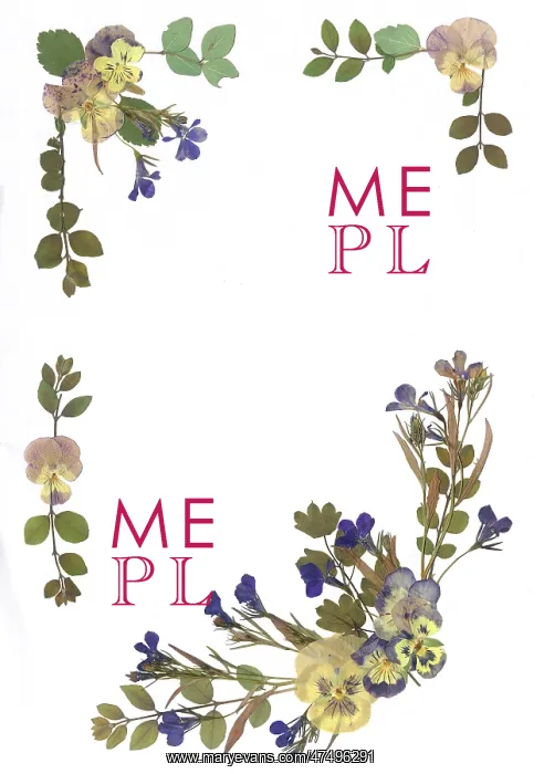  : Pressed Flower Border Design