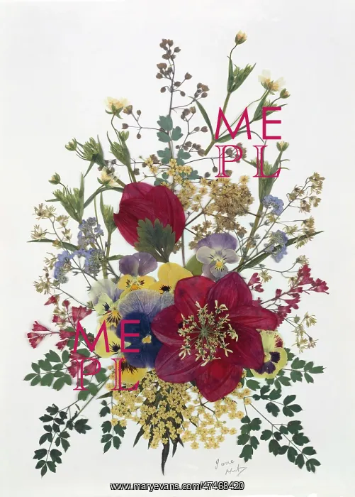 : Pressed Flower Design : Pressed Flower Design