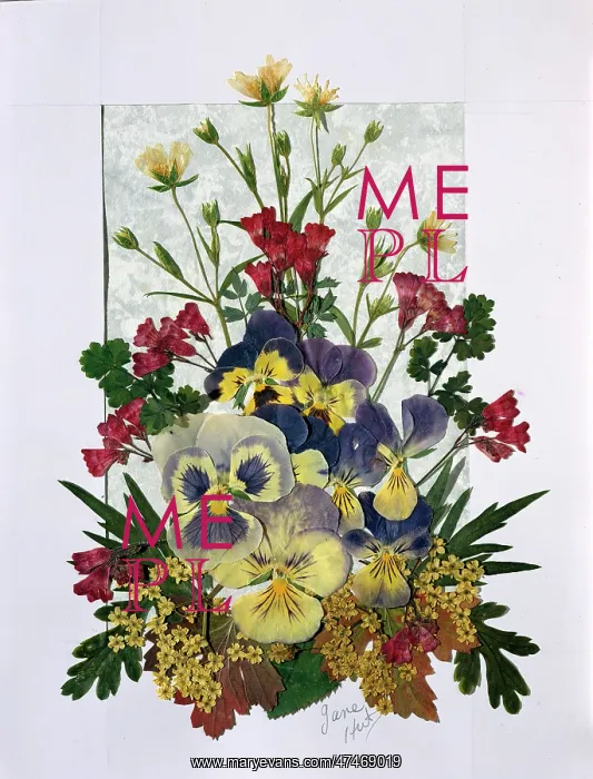 : Pressed Flower Design : Pressed Flower Design