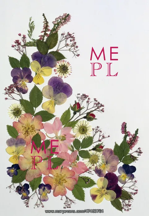  : Pressed Flower Design with Pansies