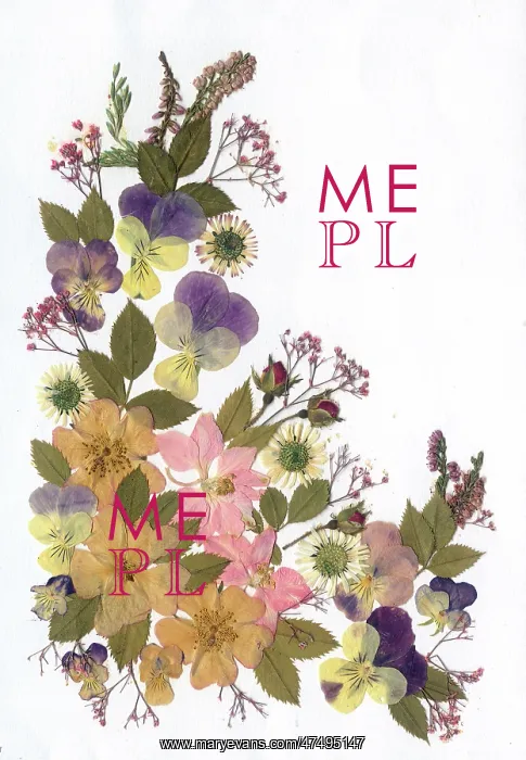  : Pressed Flower design with Pansies