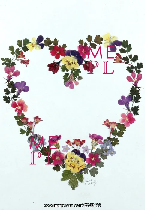 : Pressed Flower Heart : Pressed Flower Heart