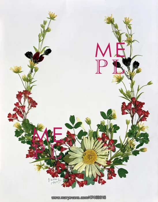 : Pressed Flower Horseshoe : Pressed Flower Horseshoe