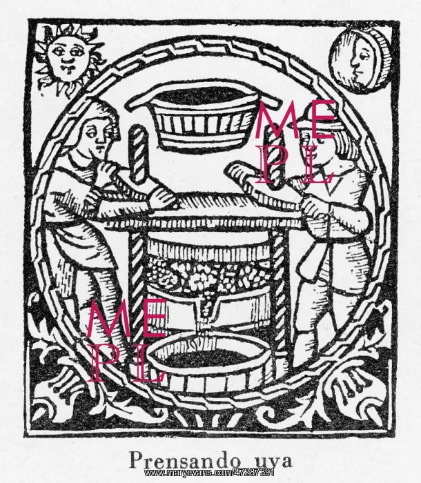 : Pressing Grapes 1511 : Pressing Grapes 1511