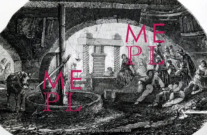  : Pressing olives, Paris, 1853