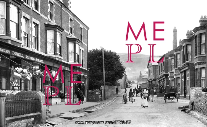  : Prestatyn, Street 1895