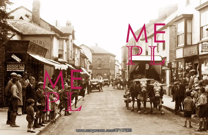  : Presteigne High Street early 1900s