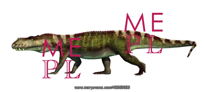 : Prestosuchus archosaur from the middle Triassic : Prestosuchus archosaur from the middle Triassic