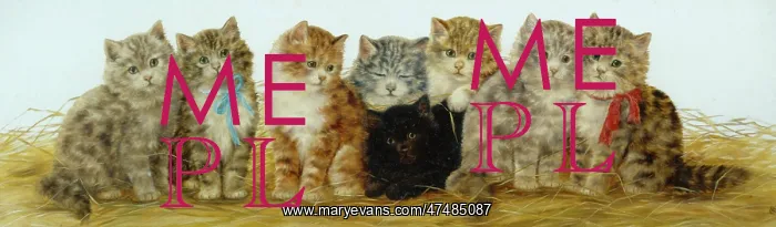 : Pretty Maids All in a Row ' eight kittens : Pretty Maids All in a Row ' eight kittens