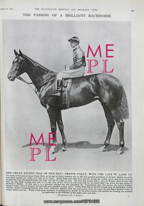 : Pretty Polly, Racehorse : Pretty Polly, Racehorse
