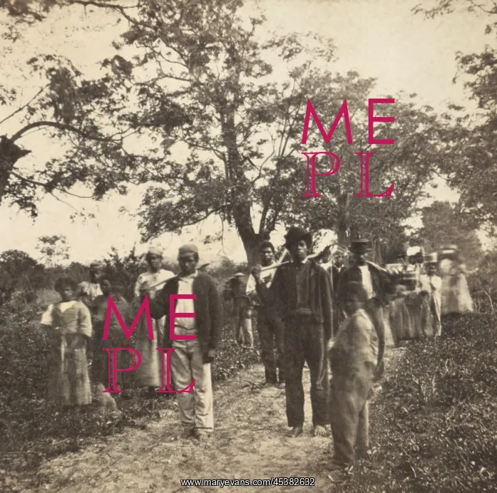 : Previously enslaved African Americans on their : Previously enslaved African Americans on their