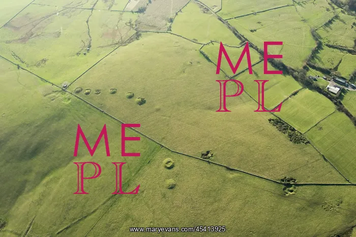 : Priddy Nine Barrows Cemetery, Somerset : Priddy Nine Barrows Cemetery, Somerset
