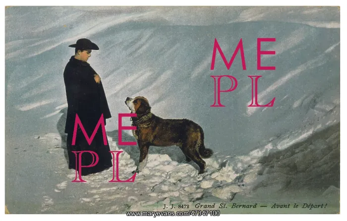 : Priest and St Bernard Dog : Priest and St Bernard Dog