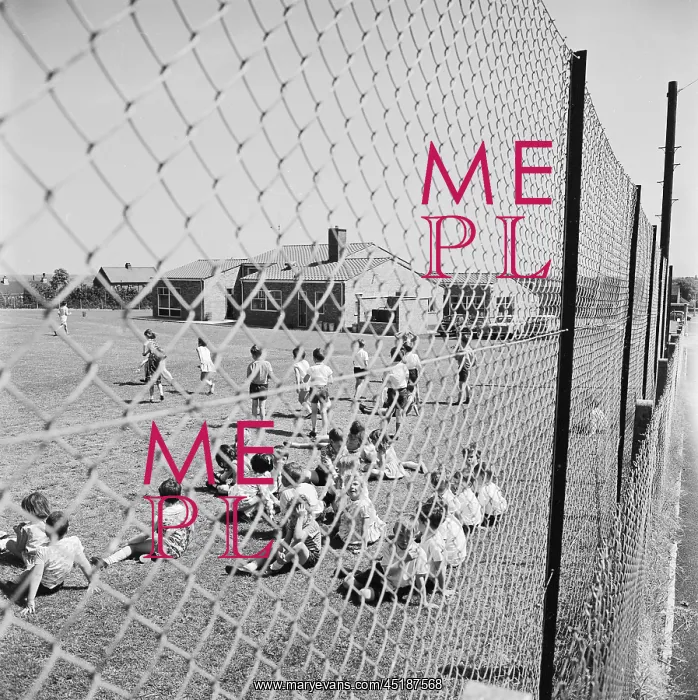 : Primary School : Primary School