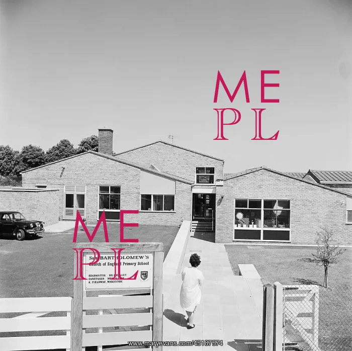 : Primary School : Primary School