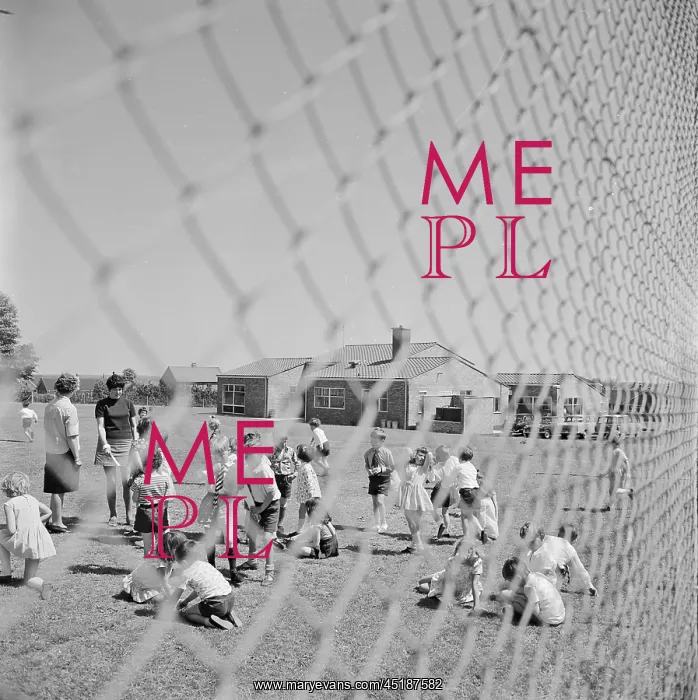 : Primary School : Primary School