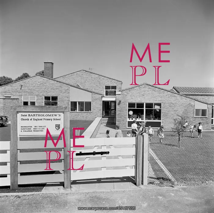 : Primary School : Primary School