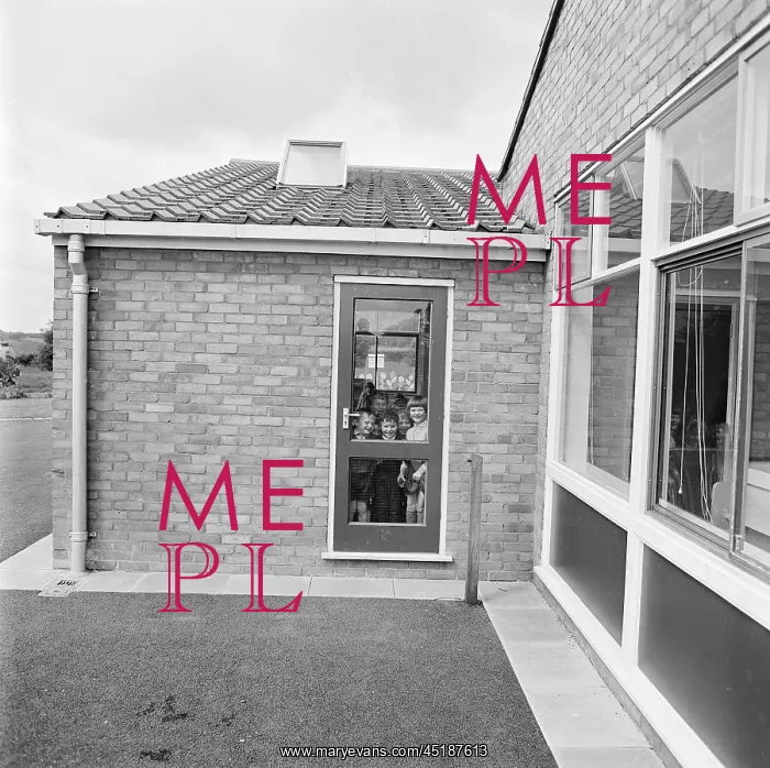 : Primary School : Primary School