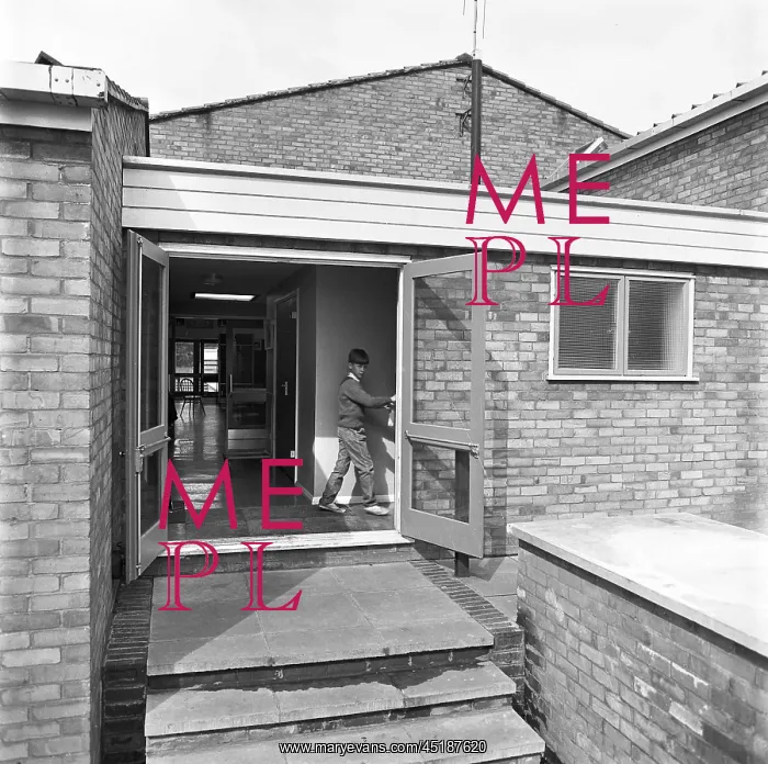 : Primary School : Primary School