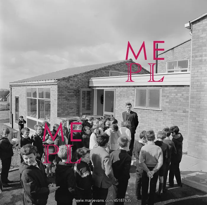 : Primary School : Primary School