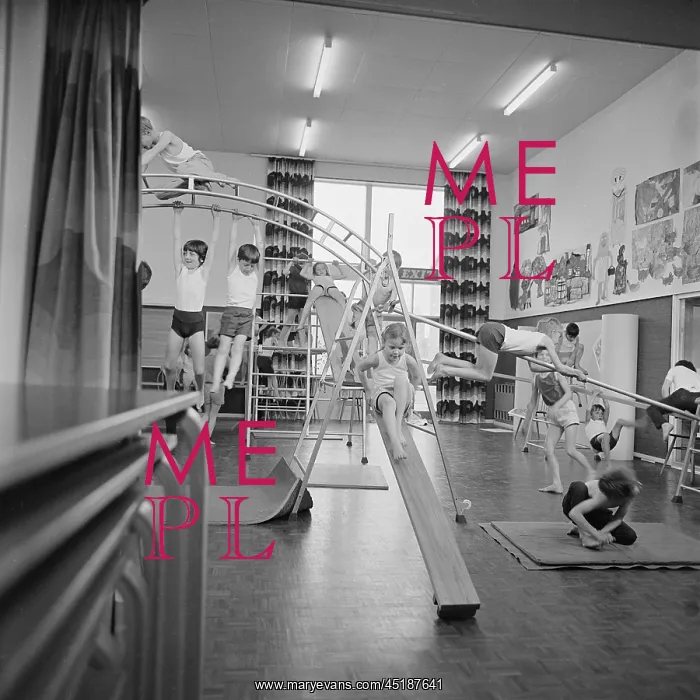 : Primary School : Primary School