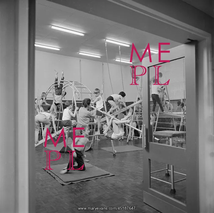 : Primary School : Primary School