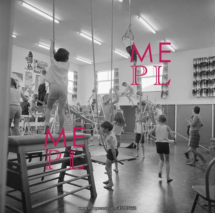 : Primary School : Primary School
